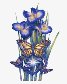 Orquideas Azuis - Jody Bergsma Bears Coloring Page, HD Png Download, Transparent PNG