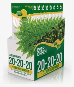 Grass, HD Png Download, Transparent PNG