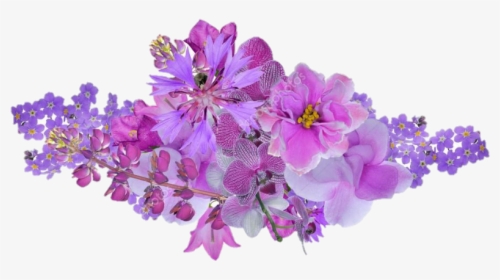 #orquídeasblancas #orquideas #flores #flower - Lilac Flower White Background, HD Png Download, Transparent PNG