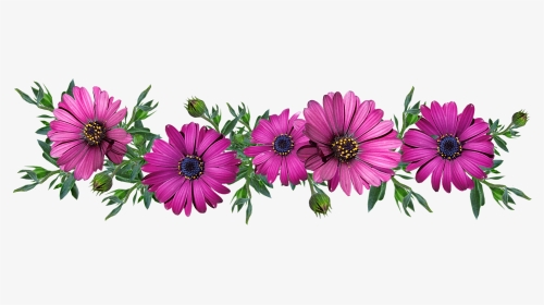 Flowers, Daisies, Arrangement, Cut Out - Greeting Message, HD Png Download, Transparent PNG