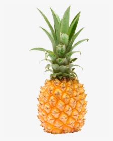 Pineapple Fruit Photography - Pineapple, HD Png Download, Transparent PNG