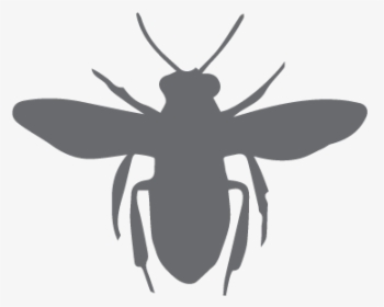 European Dark Bee Silhouette Clip Art - Honey Bee, HD Png Download, Transparent PNG