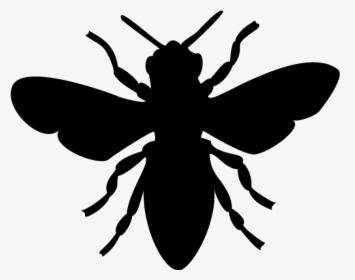 Bee Image Black And White, HD Png Download, Transparent PNG