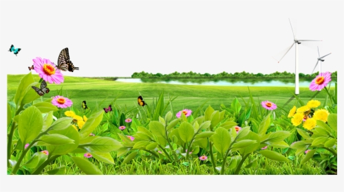 Meadow Lawn Wallpaper Lake - Nature Background Png Hd, Transparent Png, Transparent PNG