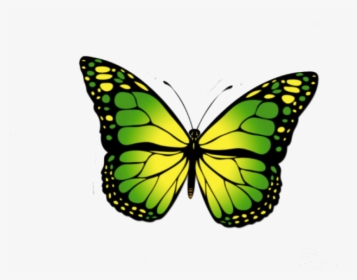 Monarch Butterfly Clipart, HD Png Download, Transparent PNG
