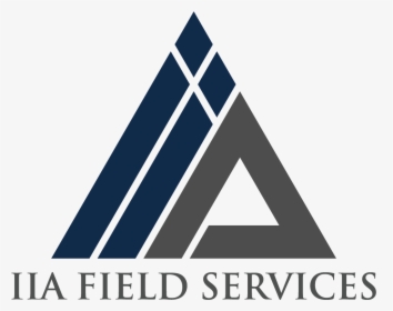 Iia Fs Logo Color - Industrial Inspection And Analysis, HD Png Download, Transparent PNG