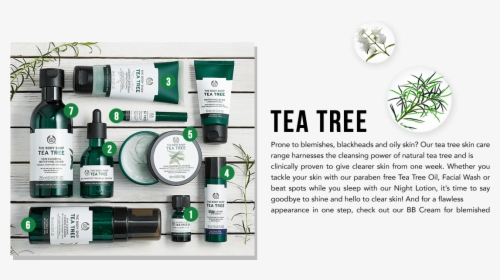 Transparent Tea Tree Png - Body Shop Tea Tree Oil Line, Png Download, Transparent PNG