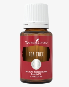 Tea Tree Young Living Png, Transparent Png, Transparent PNG