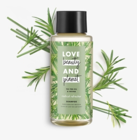 Love Beauty And Planet Tea Tree Oil & Vetiver Shampoo, HD Png Download, Transparent PNG