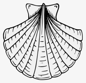 Shell Clipart Heraldic Scallop - Shell Heraldry, HD Png Download, Transparent PNG