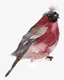 Creative Bird Water Ink Painting Transparent Watercolor - Old World Flycatcher, HD Png Download, Transparent PNG