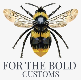 For The Bold Customs - Hornet, HD Png Download, Transparent PNG