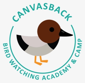 Canvasback Picture - Oil & Gas Uk, HD Png Download, Transparent PNG