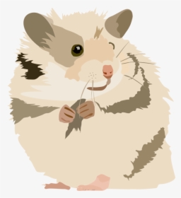 Snout,muridae,tail - Hamster Clipart Png, Transparent Png, Transparent PNG