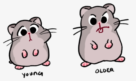 1 Young Old, HD Png Download, Transparent PNG