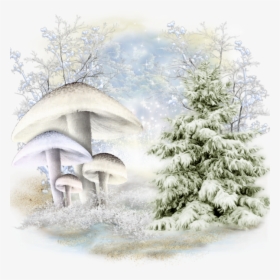Arrière-plan Png Pour Créa D Hiver - Tree With Snow Transparent Background, Png Download, Transparent PNG