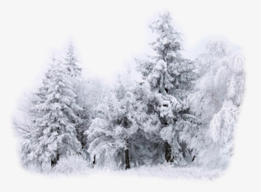 Desktop Wallpaper Snow Winter Drawing - Snow Deposition Phase Change, HD Png Download, Transparent PNG
