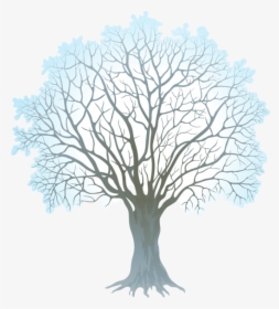 Clipart Winter Watercolor - Winter Tree Clipart Png, Transparent Png, Transparent PNG