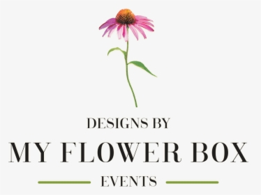 Designs By My Flower Box Events - My Flower, HD Png Download, Transparent PNG