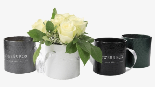 Tube Flower Box - Garden Roses, HD Png Download, Transparent PNG