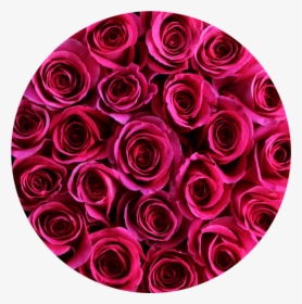 Hot Pink Roses In Round Flower Box Round - Round Flower, HD Png Download, Transparent PNG