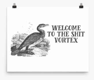 Effin Birds - Dodo - Effin Birds Welcome To The Shit Vortex, HD Png Download, Transparent PNG
