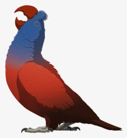Broad Billed Parrot, HD Png Download, Transparent PNG