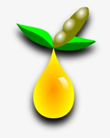 Soy, Fuel, Bean, Oil - Biodiesel Png, Transparent Png, Transparent PNG