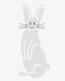 Bunny, Rabbit, White, Easter, Cute, Holiday, Spring - Domestic Rabbit, HD Png Download, Transparent PNG