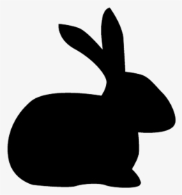 Hq Bunny Rabbit Silhouette - Domestic Rabbit, HD Png Download, Transparent PNG