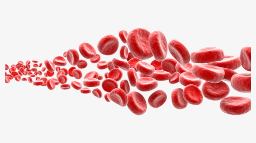 Transparent Background Red Blood Cells Png, Png Download, Transparent PNG