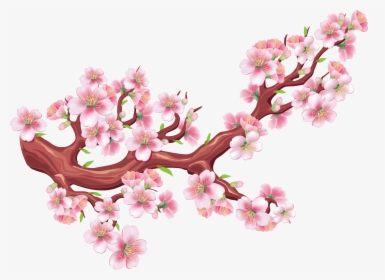 Sakura Png - Bunga Sakura Vector Png, Transparent Png, Transparent PNG