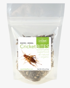 Roasted Crickets & Dried Crickets - Dry Roasted Crickets, HD Png Download, Transparent PNG