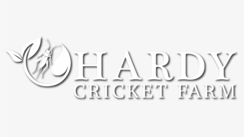 Graphics, HD Png Download, Transparent PNG
