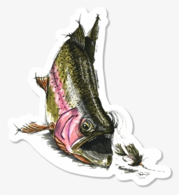 Cory Street Rainbow Trout Sticker - Illustration, HD Png Download, Transparent PNG