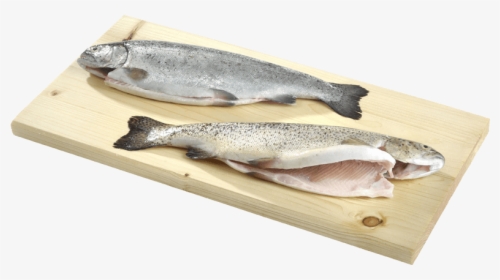 Eciens Seafood Trout Gutted - Touladi, HD Png Download, Transparent PNG