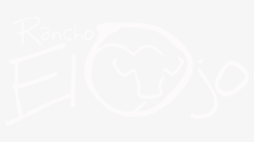 Ojo Png, Transparent Png, Transparent PNG