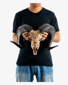 Carved Ram Skull - Bull, HD Png Download, Transparent PNG