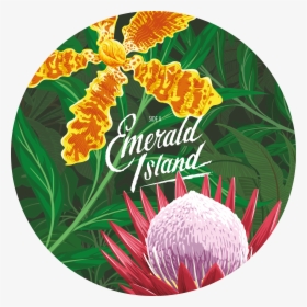Caro Emerald Emerald Island, HD Png Download, Transparent PNG