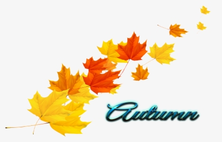 Autumn Leaves Transparent - Autumn Leaf Vector Png, Png Download, Transparent PNG