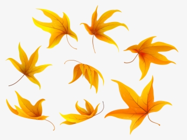 Clipart Butterfly Autumn - Portable Network Graphics, HD Png Download, Transparent PNG