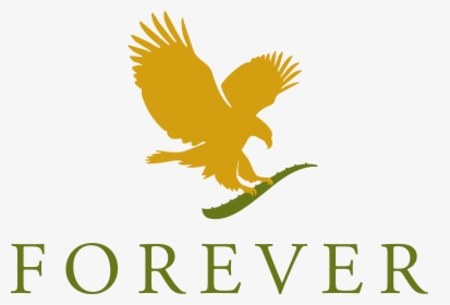 Forever Living Products Logo, HD Png Download, Transparent PNG