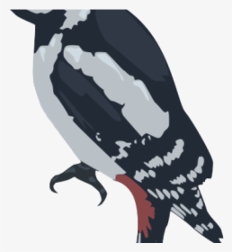 Woodpecker Png Transparent Images - Adã©lie Penguin, Png Download, Transparent PNG