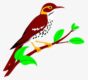 Brownish Red Thrush Free Stock Illustration Of - Clip Art, HD Png Download, Transparent PNG