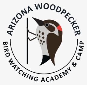 Arizona Woodpecker Picture - Türsab, HD Png Download, Transparent PNG