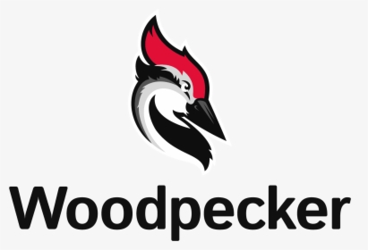 Woodpecker, HD Png Download, Transparent PNG