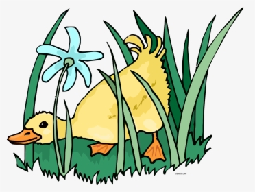 Clip Art Ducks Grass Clipart Png - Pato Animado Comiendo Maiz, Transparent Png, Transparent PNG