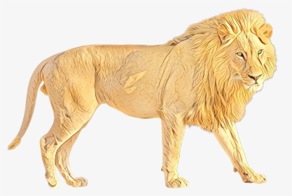 Lion Portable Network Graphics Transparency Image Jaguar - Walking Lion In Png, Transparent Png, Transparent PNG