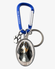 Beagle, HD Png Download, Transparent PNG