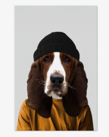 Fred The Basset Hound Art Card - Dogs Dressed Like People, HD Png Download, Transparent PNG